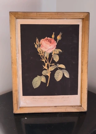 Encadrement, Affiche et tableau centenaire de 1920 rose, brand: Rose, condition: Very good, €1,920.00, €2,016.70 includes Buyer Protection