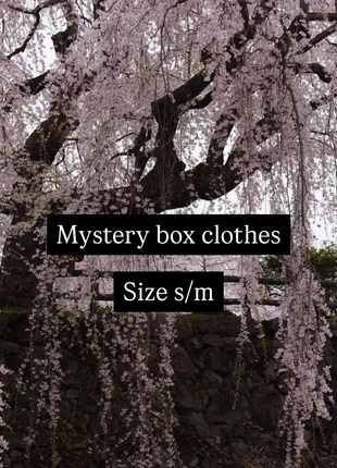 Mystery box clothings, marke: Alternative, zustand: Neu, größe: S / 36 / 8, 15,00 €, 16,45 € inklusive Vinted-Käuferschutz