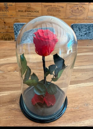 Rose éternelle, brand: Disney, condition: Very good, €10.00, €11.20 includes Buyer Protection