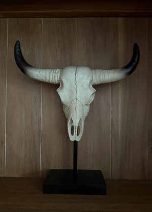 Stieren schedel op voet / Longhorn skull, marque: geen merk, état: Très bon état, 9,50 €, 10,68 € Protection acheteurs incluse