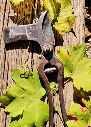 Ancien outil de vigneron, merk: Collection, staat: Goed, € 45,00, € 47,95 inclusief Kopersbescherming