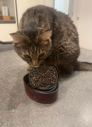 Cintura y2k, marque: CHROME, état: Neuf sans étiquette, taille: 115 cm, 7,00 €, 8,05 € Protection acheteurs incluse