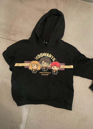 Pull Harry Potter, marque: Harry Potter, état: Très bon état, taille: 12 ans / 152 cm, 10,00 €, 11,20 € Protection acheteurs incluse