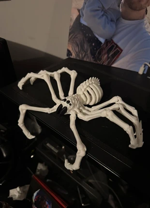 Araignée halloween, brand: halloween, condition: New with tags, €7.00, €8.05 includes Buyer Protection