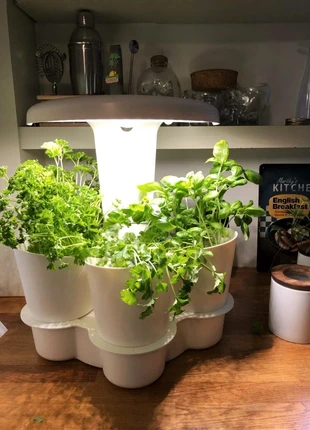 Calla garden, marque: calla garden, état: Très bon état, 40,00 €, 42,70 € Protection acheteurs incluse