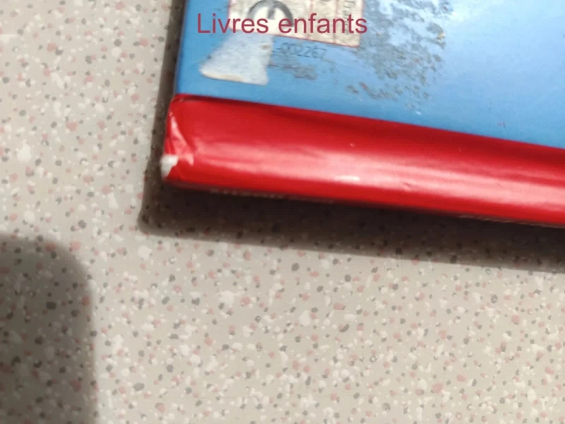 Petit loup le roi de la galette - photo numéro 3