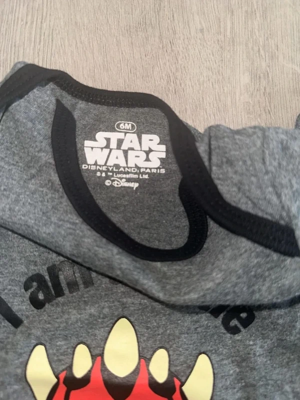 Bodies star wars Disney - photo numéro 3