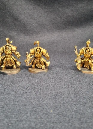 Allarus terminators and shield captain Custodes 40k, brand: Warhammer, condition: Good, £23.00, £24.85 includes Buyer Protection