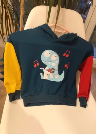 Sweat a capuche, marca: je ne sais pas, estado: Muito bom, tamanho: 5 anos / 110 cm, €3.00, €3.85 inclui Proteção do Comprador