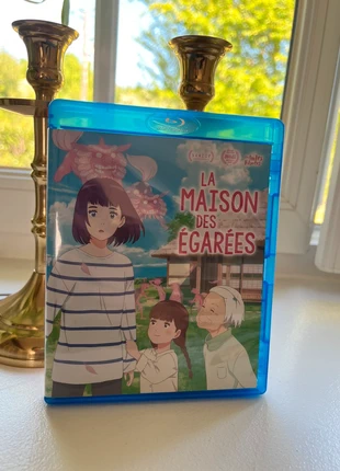 Blu-ray La maison des égarées, zustand: Sehr gut, 15,00 €, 16,45 € inklusive Vinted-Käuferschutz