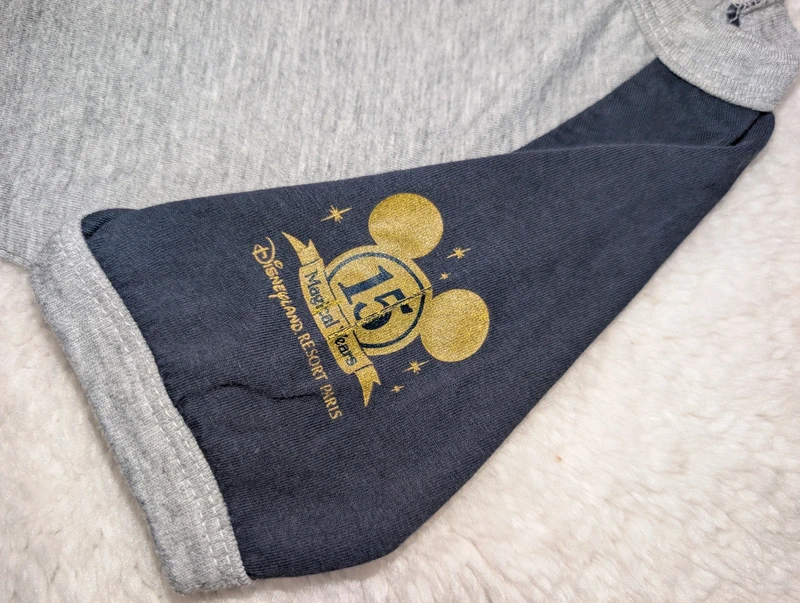 Tee-shirt Mickey Disneyland Paris 15 ans taille 4 ans - photo numéro 3