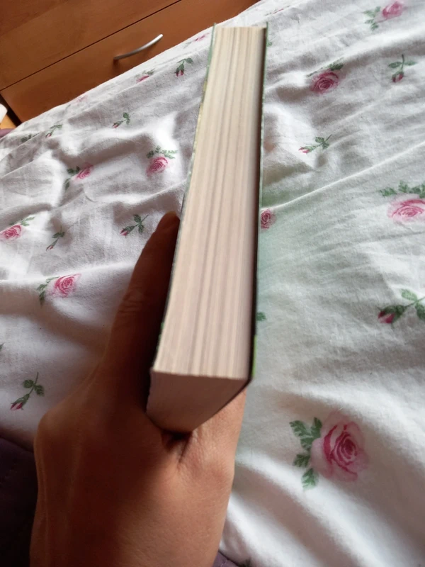 Les chevaliers d émeraude tome 1 - photo numéro 3