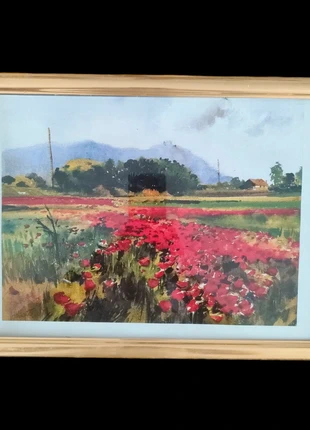 Acuarela campo de amapolas, marca: Aquarelle, estado: Muy bueno, 14,99 €, 16,44 € Protección al comprador incluida