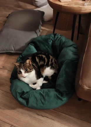 Kattenmand, marque: Case, état: Très bon état, 7,50 €, 8,58 € Protection acheteurs incluse