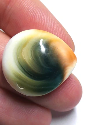 Opercule - Certifié par Gemmologue diplômé -, estado: Muito bom, €10.00, €11.20 inclui Proteção do Comprador