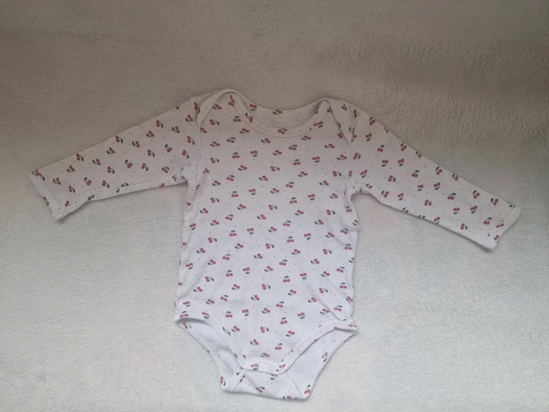 Lot 6 bodies