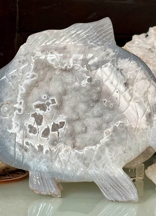 Pièce exceptionnelle en agate naturelle avec druse – forme poisson – 16 × 14 cm / 753 g, marque: agate avec druse, état: Neuf sans étiquette, 145,00 €, 152,95 € Protection acheteurs incluse