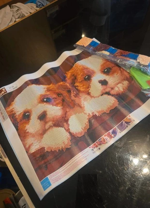 Diamond painting 2 petit chiot, brand: Diamond Painting, condition: Very good, size: One size, €4.00, €4.90 includes Buyer Protection Pro