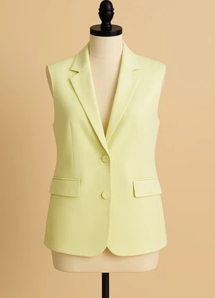 Blazer citron vert, marque: Zara, état: Neuf avec étiquette, taille: L / 40 / 12, 15,00 €, 16,45 € Protection acheteurs incluse