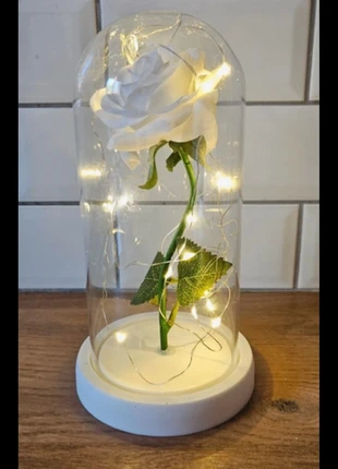 Rose sous verre, état: Neuf avec étiquette, 5,00 €, 5,95 € Protection acheteurs incluse