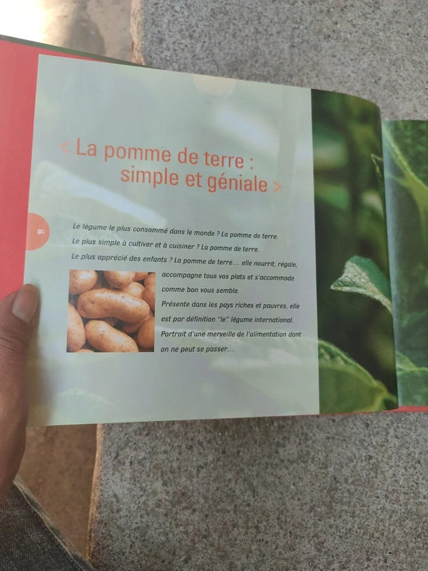 Livre la pomme de terre d'hier et d'aujourd'hui - photo numéro 7