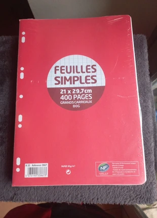 Feuilles simples grands carreaux 400 pages, merk: sansnom., staat: Nieuw met prijskaartje, € 2,00, € 2,80 inclusief Kopersbescherming