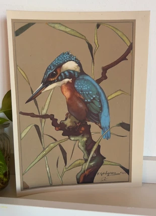 Ilustração “Kingfisher” por R. Gudgeon (retirada de livro antigo), merk: Vintage, staat: Heel goed, € 10,00, € 11,20 inclusief Kopersbescherming