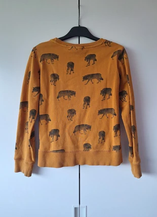 wolfven truitje, merk: JBC, staat: Nieuw zonder prijskaartje, maat: 11 jaar / 146 cm, € 3,00, € 3,85 inclusief Kopersbescherming