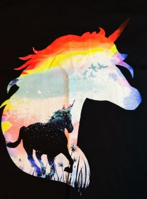 Tshirt XL Unicorno LGBT, marke: Gildan, zustand: Neu, größe: XL, 9,90 €, 11,10 € inklusive Vinted-Käuferschutz