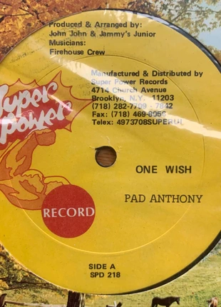 12”Mix Pad Anthony One Wish dancehall reggae, état: Très bon état, 6,00 €, 7,00 € Protection acheteurs incluse