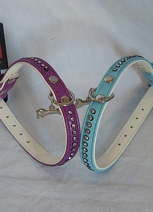 2 Colliers Animaux FreeDog Neuf, merk: Freedog, staat: Nieuw met prijskaartje, maat: M, € 7,00, € 8,05 inclusief Kopersbescherming