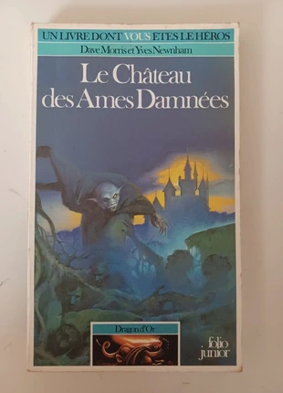 Le château des âmes damnés, état: Satisfaisant, 15,00 €, 16,45 € Protection acheteurs incluse