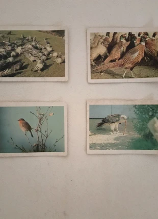 Lot de 4 anciennes images – Oiseaux, état: Bon état, 1,00 €, 1,75 € Protection acheteurs incluse