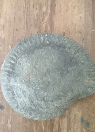 Ammonite grise, brand: Pierre, condition: Very good, €4.00, €4.90 includes Buyer Protection