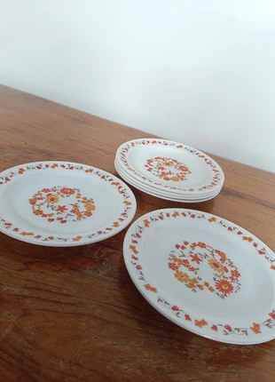 Lot de 6 assiettes à dessert Arcopal – Modèle Flore, marca: Arcopal, estado: Muito bom, €15.00, €16.45 inclui Proteção do Comprador Pro