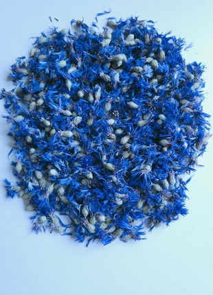 Bleuet bleu fleurs séchées entières 20 gr, marca: Champs, estado: Nuevo sin etiquetas, 8,00 €, 9,10 € Protección al comprador Pro incluida