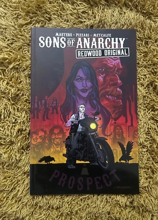 Sons Of Anarchy: Redwood Original Graphic Novel, condition: Very good, £10.00, £11.10 includes Buyer Protection