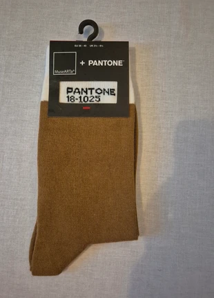 Pantone sokken van MuseArta, merk: musearta, staat: Nieuw met prijskaartje, maat: XS | 36–37, € 6,50, € 7,53 inclusief Kopersbescherming Pro