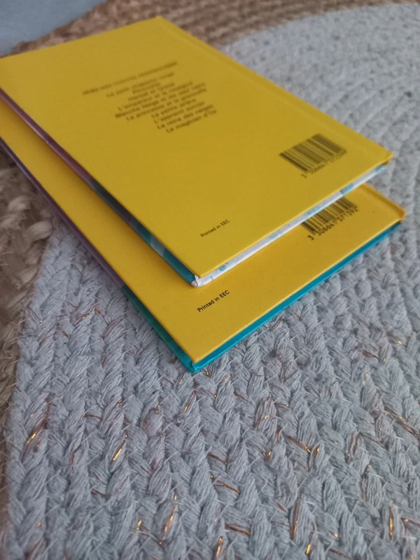 📖 Lot de 2 livres Mes contes préférés - photo numéro 3