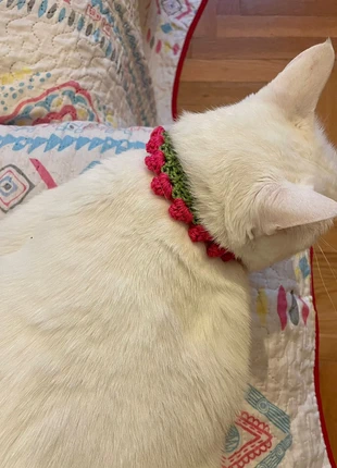 Coleira de crochet para gatinho, marca: Miminhos4all, estado: Nuevo sin etiquetas, 4,00 €, 4,90 € Protección al comprador Pro incluida