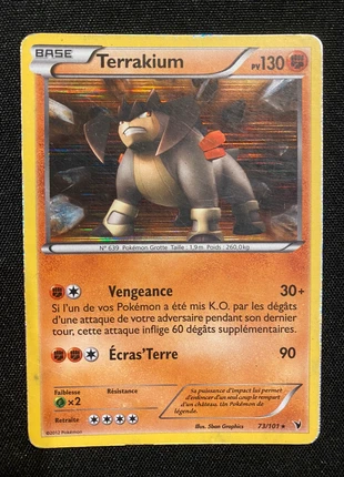 Terrakium holographique, marque: Pokémon, état: Bon état, 2,00 €, 2,80 € Protection acheteurs incluse