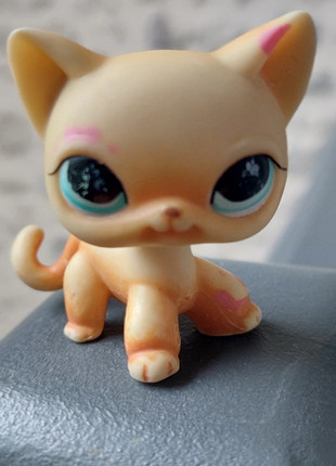 Pet shop chat européen, marque: Littlest Pet Shop, état: Satisfaisant, taille: Taille unique, 2,50 €, 3,33 € Protection acheteurs incluse
