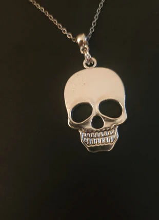 Skull head necklace 45cm stainless steel chain with gift bag, brand: Skulls and Things, condition: New with tags, £2.50, £3.33 includes Buyer Protection