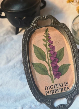 Cadre ésotérique “Digitalis Purpurea” plante magique, déco botanique vintage, marque: Cadre ésotérique “Digitalis Purpurea” plante magiq, état: Satisfaisant, 5,90 €, 6,90 € Protection acheteurs incluse