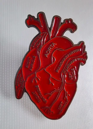 Spilla cuore anatomico con dettagli, marca: pin, estado: Muito bom, €8.00, €9.10 inclui Proteção do Comprador