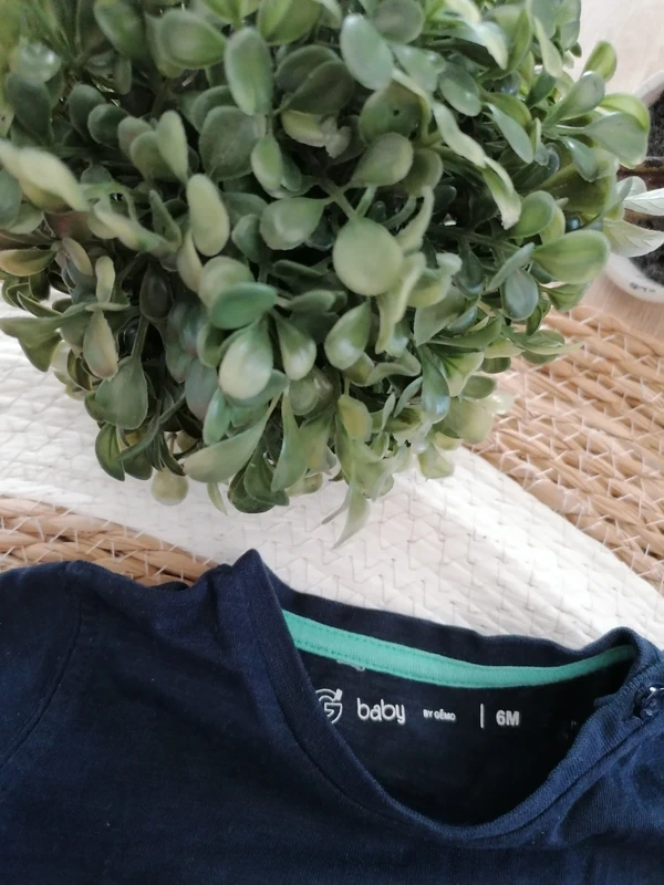 Lot de trois tee-shirts manches courtes - Gémo - 6 mois - photo numéro 3