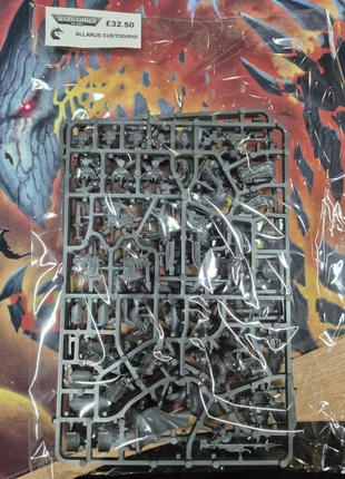 Warhammer 40,000 - Allarus Custodians, brand: Warhammer, condition: New without tags, £32.50, £34.83 includes Buyer Protection