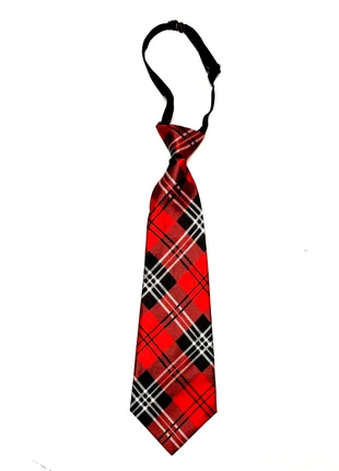 Cravate motif tartan, merk: Tartan, staat: Heel goed, € 6,00, € 7,00 inclusief Kopersbescherming Pro