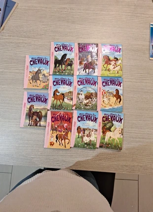 Lot de 11 livres Mes amis les chevaux, zustand: Sehr gut, 11,00 €, 12,25 € inklusive Vinted-Käuferschutz