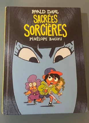 Sacrées Sorcières – Roald Dahl / Pénélope Bagieu (BD), estado: Muy bueno, 8,00 €, 9,10 € Protección al comprador incluida